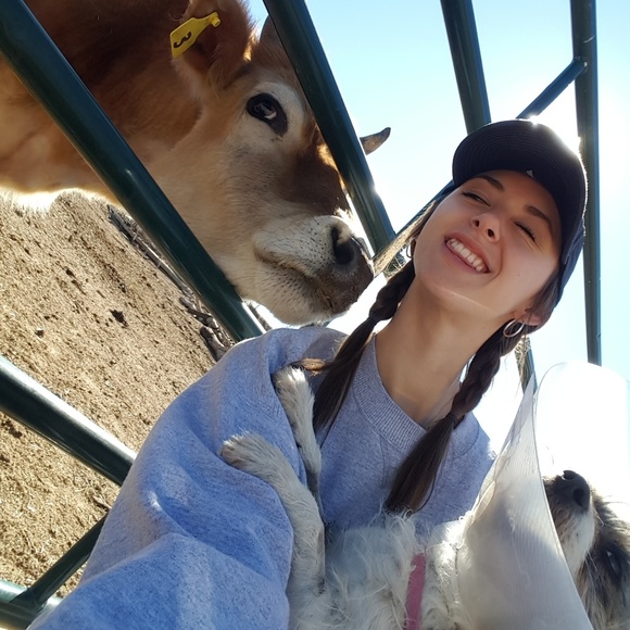 Meet your Posher, Riley - Picture 6 of 7